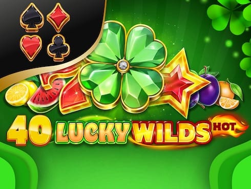 40 لکی وائلڈز ہاٹ game icon