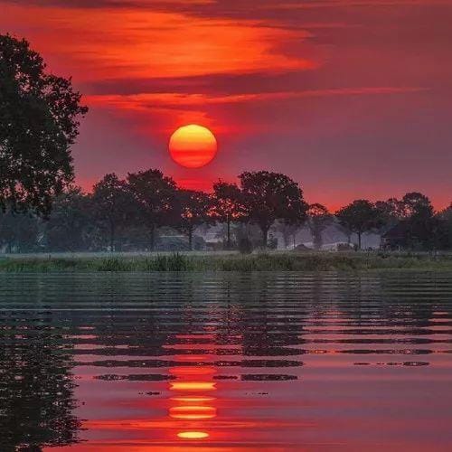 Shahroz Sabzwari profile