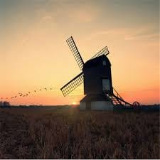 Haider Ali_1 profile