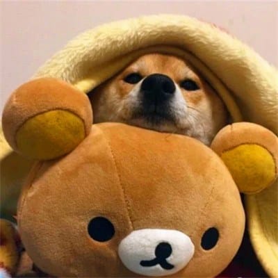 Sheikh Rasheed avatar